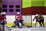 Photo hockey reportage Fem Elite : Bon dpart des Bisontines