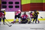 Photo hockey reportage Fem Elite : Bon dpart des Bisontines