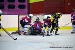 Photo hockey reportage Fem Elite : Bon dpart des Bisontines