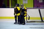 Photo hockey reportage Fem Elite : Bon dpart des Bisontines