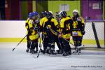 Photo hockey reportage Fem Elite : Bon dpart des Bisontines