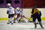 Photo hockey reportage Fem Elite : Dans les serres de l'Aigle