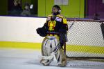 Photo hockey reportage Fem Elite : Dans les serres de l'Aigle