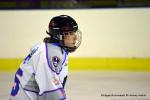 Photo hockey reportage Fem Elite : Dans les serres de l'Aigle