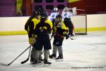 Photo hockey reportage Fem Elite : Dans les serres de l'Aigle