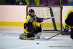Photo hockey reportage Fem Elite : Dans les serres de l'Aigle