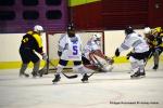 Photo hockey reportage Fem Elite : Dans les serres de l'Aigle