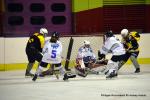 Photo hockey reportage Fem Elite : Dans les serres de l'Aigle