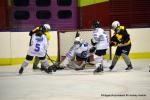 Photo hockey reportage Fem Elite : Dans les serres de l'Aigle