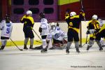 Photo hockey reportage Fem Elite : Dans les serres de l'Aigle