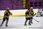 Photo hockey reportage Fem Elite : Dans les serres de l'Aigle