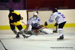Photo hockey reportage Fem Elite : Dans les serres de l'Aigle