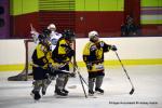 Photo hockey reportage Fem Elite : Dans les serres de l'Aigle