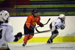 Photo hockey reportage Fem Elite : L'Aigle rsiste aux Rafales
