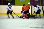 Photo hockey reportage Fem Elite : L'Aigle rsiste aux Rafales