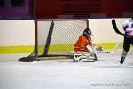 Photo hockey reportage Fem Elite : L'Aigle rsiste aux Rafales