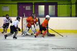 Photo hockey reportage Fem Elite : L'Aigle rsiste aux Rafales