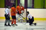 Photo hockey reportage Fem Elite : L'Aigle rsiste aux Rafales