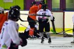 Photo hockey reportage Fem Elite : L'Aigle rsiste aux Rafales