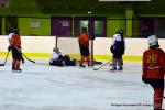 Photo hockey reportage Fem Elite : L'Aigle rsiste aux Rafales