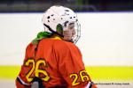 Photo hockey reportage Fem Elite : L'Aigle rsiste aux Rafales