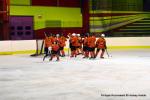 Photo hockey reportage Fem Elite : L'Aigle rsiste aux Rafales