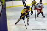 Photo hockey reportage Fem lite : L'Aigle vole tranquillement