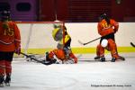 Photo hockey reportage Fem lite : Les Aigles emports par les Rafales