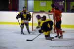 Photo hockey reportage Fem lite : Les Aigles emports par les Rafales