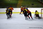 Photo hockey reportage Fem lite : Les Aigles emports par les Rafales