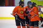 Photo hockey reportage Fem lite : Les Aigles emports par les Rafales