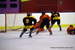 Photo hockey reportage Fem lite : Les Aigles emports par les Rafales