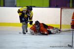 Photo hockey reportage Fem lite : Les Aigles emports par les Rafales
