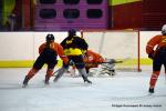 Photo hockey reportage Fem lite : Les Aigles emports par les Rafales