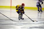 Photo hockey reportage Fem lite : Les Rebelles sur le fil !