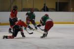 Photo hockey reportage Fminines Elite : Cergy - Neuilly