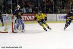 Photo hockey reportage FINALE CDL  - GALERIE Claude Ares