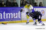 Photo hockey reportage Finale Conti Cup : Du srieux, de lenvie, le titre et leuphorie.