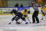 Photo hockey reportage Finale Conti Cup : Du srieux, de lenvie, le titre et leuphorie.
