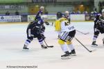 Photo hockey reportage Finale Conti Cup : Du srieux, de lenvie, le titre et leuphorie.