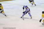 Photo hockey reportage Finale Conti Cup J1 Match2 : Les Dragons dans le tempo