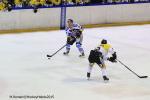 Photo hockey reportage Finale Conti Cup J1 Match2 : Les Dragons dans le tempo