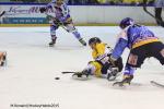 Photo hockey reportage Finale Conti Cup J1 Match2 : Les Dragons dans le tempo