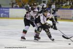 Photo hockey reportage Finale Conti Cup J2 Match4 : Une fin haletante