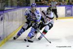 Photo hockey reportage Finale Conti Cup J3 Match5 la surprise italienne