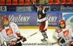 Photo hockey reportage Finale lite U15 : les photos.