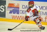 Photo hockey reportage Finale lite U15 : les photos.