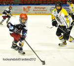 Photo hockey reportage Finale lite U15 : les photos.