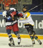 Photo hockey reportage Finale lite U15 : les photos.