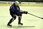 Photo hockey reportage France-Danemark : courte dsillusion 